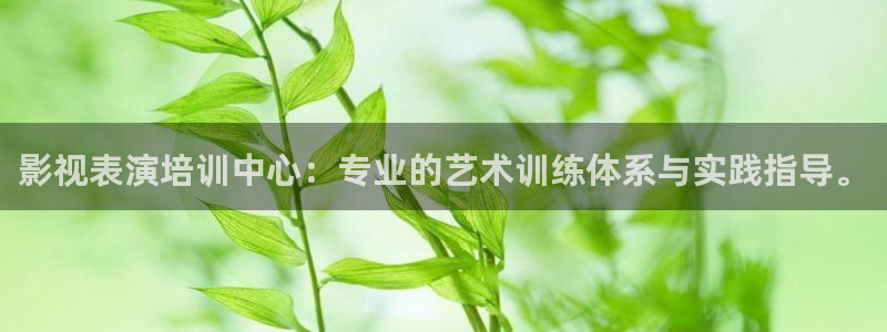 人人视频pc电脑版：影视表演培训中心：专业的艺术训练体系与实践指导。