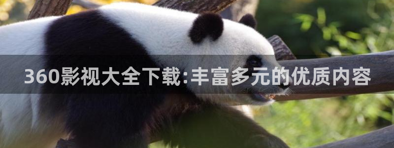 亚洲人人爽人人夜人人片：360影视大全下载:丰富多元的优质内容