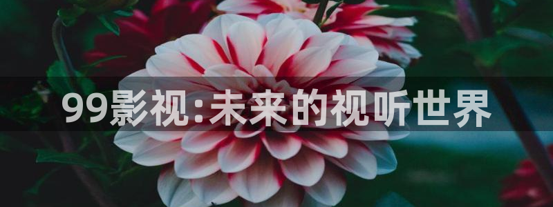 人人tv在线下载：99影视:未来的视听世界