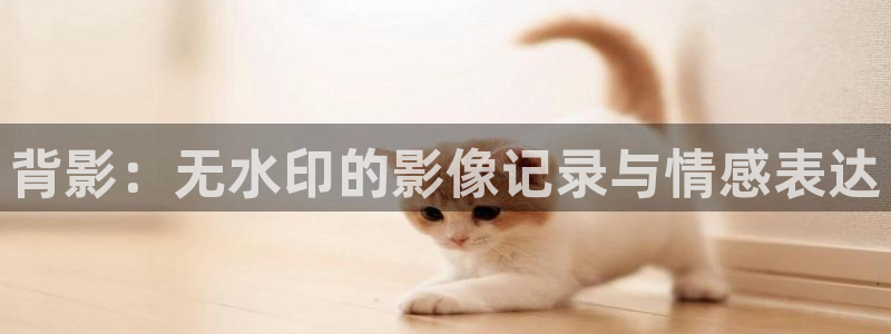 亚洲人人爽人人夜人人片：背影：无水印的影像记录与情感表达