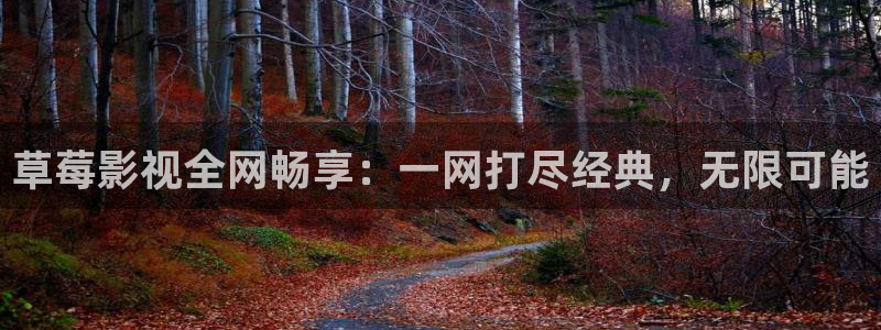 人人影音：草莓影视全网畅享：一网打尽经典，无限可能