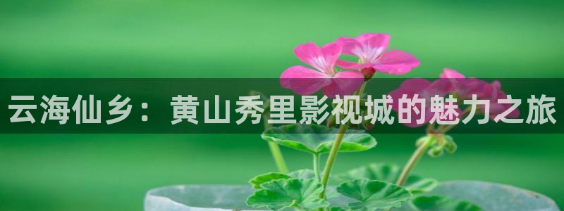 人人插人人播视频：云海仙乡：黄山秀里影视城的魅力之旅